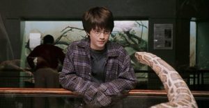 Harry Potter nói chuyện với rắn