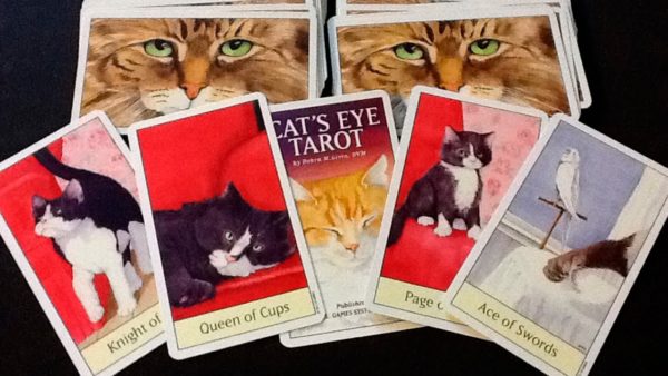 Bộ Bài Cat’s Eye Tarot
