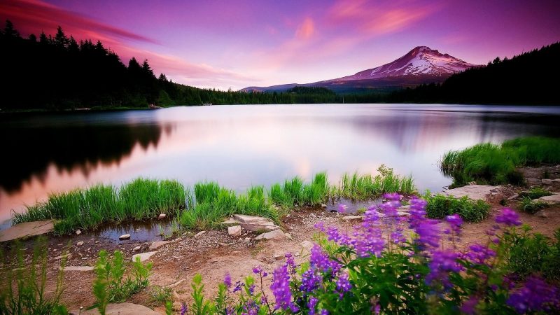 Top 77+ về hình nền thiên nhiên cực đẹp mới nhất - Du học Akina